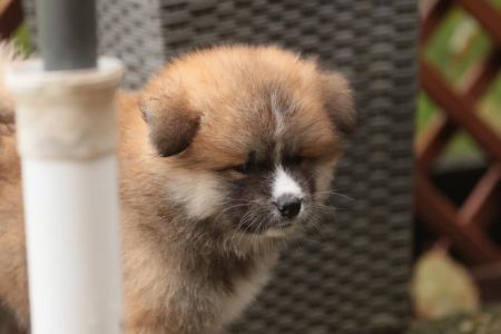 253684071 5021120084582898 5468122047426858136 n