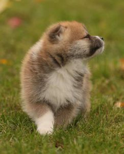 253705007 5021120404582866 4600999730492795439 n