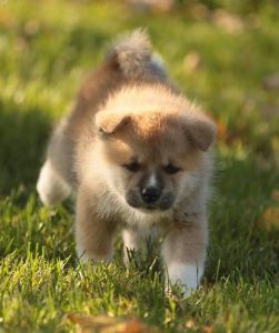 253706885 5021116817916558 5402974597771544027 n