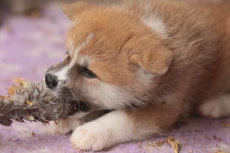 253715550 5021122577915982 5365499150866196525 n