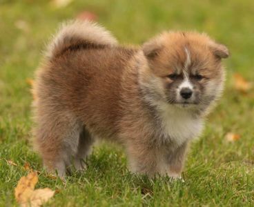 253731296 5021116994583207 8347686761001135672 n