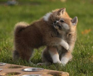 253734312 5021123014582605 5527076150023873598 n