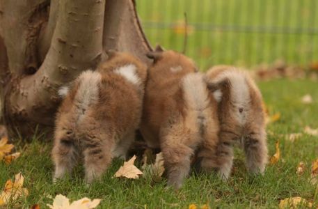 253734394 5021118987916341 5751041480130794216 n