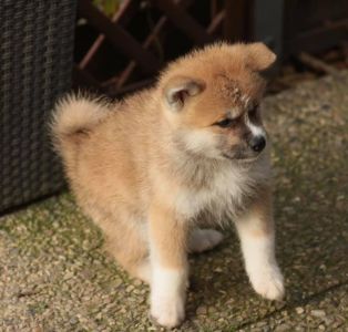 253744780 5021122934582613 5055901733698271597 n