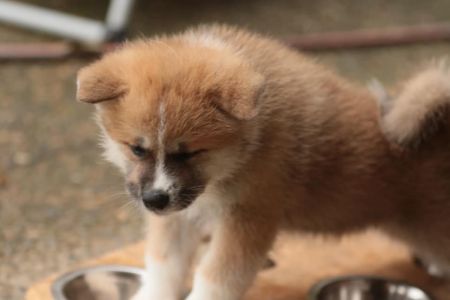 253755501 5021120721249501 6807922036325428581 n