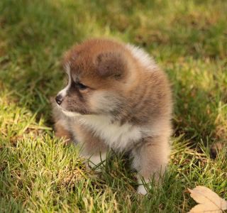 253775100 5021116174583289 3838225885414771783 n