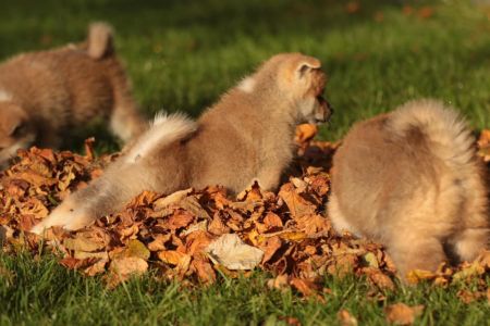 253777280 5021119944582912 2757059033632806389 n