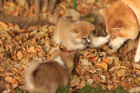 253779277 5021116434583263 777403252314751238 n