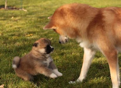 253792511 5021122801249293 5375694274077323838 n