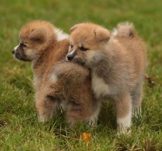 253795353 5021120894582817 5639967067089663141 n