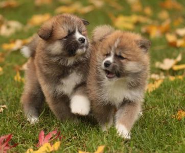 253805466 5021123477915892 1394424916462473961 n