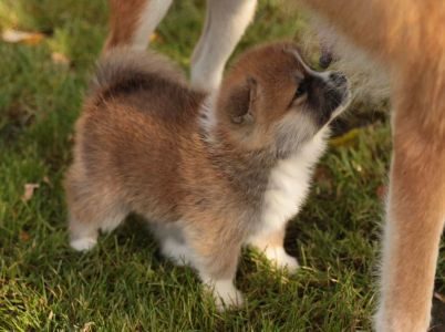 253805825 5021123847915855 5182334165935194419 n