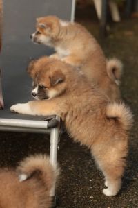 253814128 5021123161249257 5593636434875016124 n