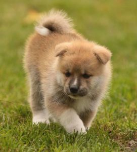 253840236 5021117474583159 3652202578363313312 n