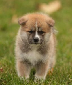 253850082 5021120414582865 6293115789929277660 n