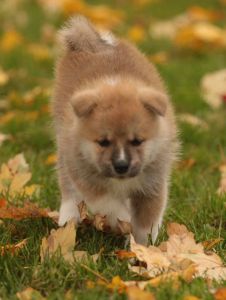 253898983 5021116307916609 5044074303680692424 n