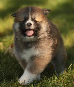 254093381 5021122074582699 7642098927578188653 n