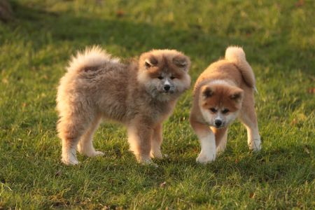 265608532 5133132793381626 5947692140506994987 n