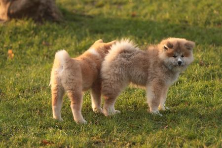 265653209 5133133110048261 3992334975266235512 n