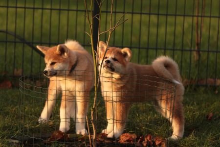 265892966 5133133456714893 7863059341288225179 n