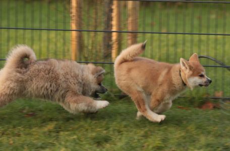 265897633 5133132970048275 1690208965367165628 n