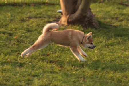 265911989 5133133490048223 3818617812802654670 n