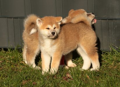 iren imagoro 611a1890